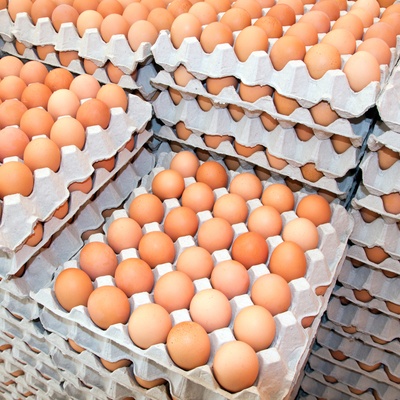 Extra Large Eggs