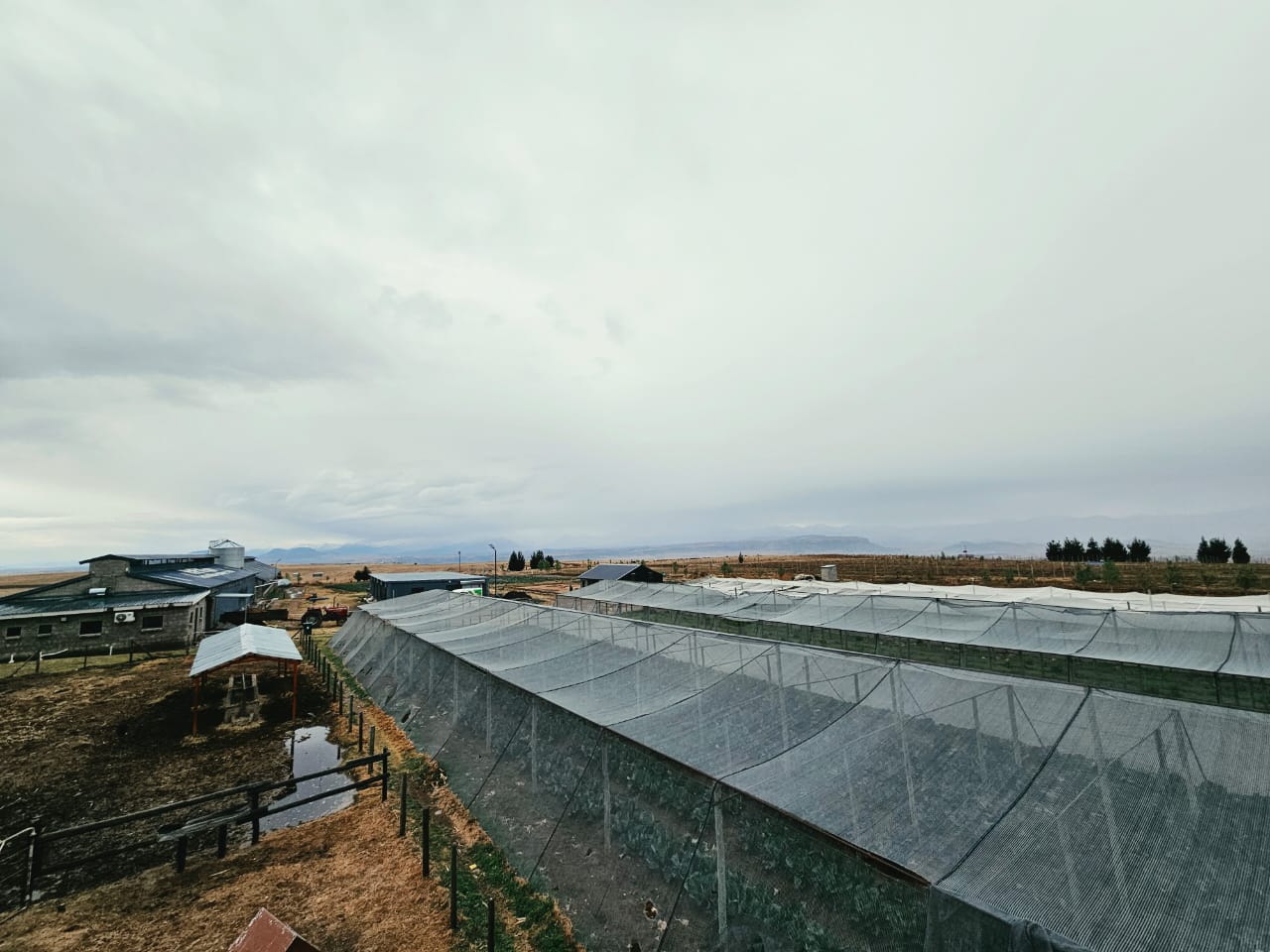 Farm shade tunnels landscape