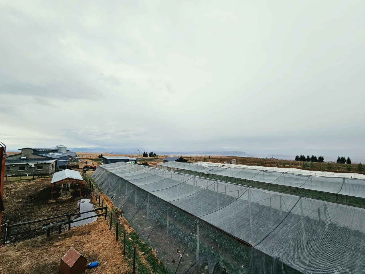 Shade nets side view
