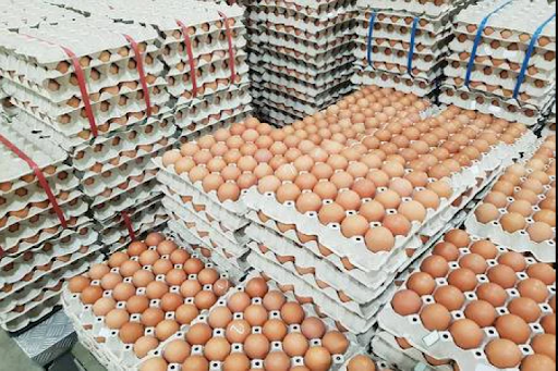 Large Eggs