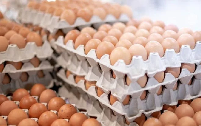 Medium Eggs