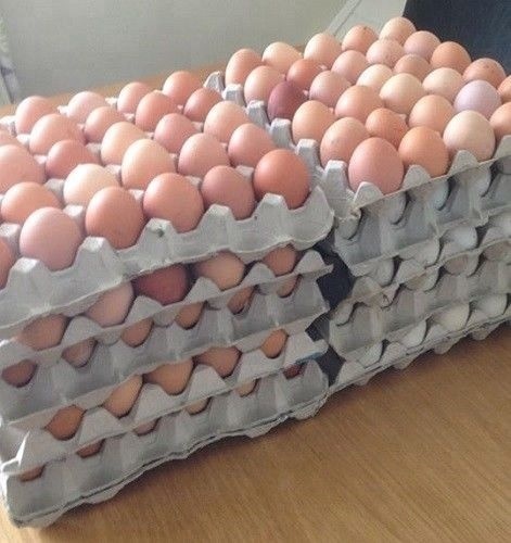 Small Eggs